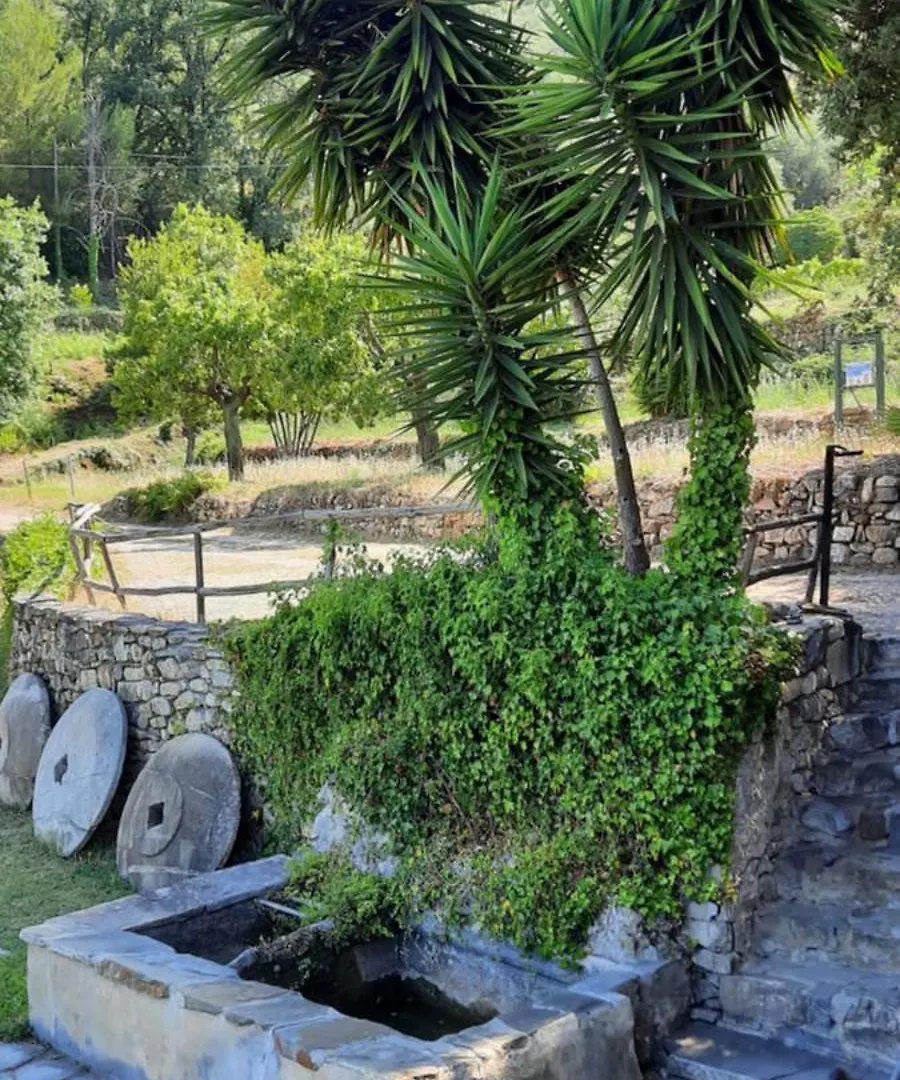 Country House Il Mulino,parking,wi-fi free Imperia 0*,  Italia